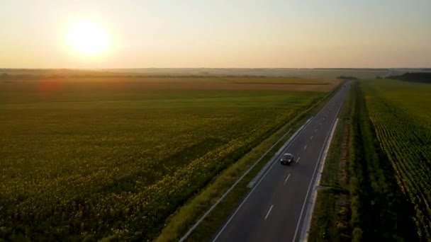 Autostrada Suburbana Autostrada Auto Passaggio Drone Video Registrazione Video — Video Stock