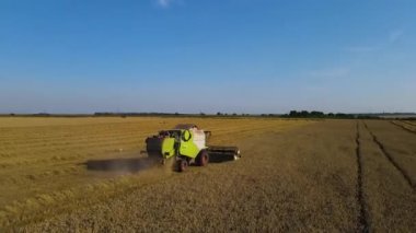 Buğday tarlası hasatçısı uçan dron kamyonu hasat ediyor tahıl ekmeği yüklüyor