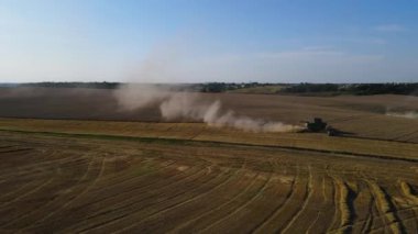 Buğday tarlası hasatçısı uçan dron kamyonu hasat ediyor tahıl ekmeği yüklüyor
