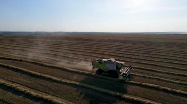 Buğday tarlası hasatçısı uçan dron kamyonu hasat ediyor tahıl ekmeği yüklüyor