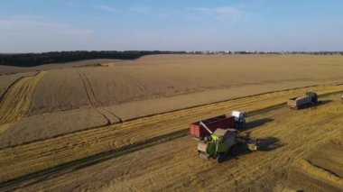 Buğday tarlası hasatçısı uçan dron kamyonu hasat ediyor tahıl ekmeği yüklüyor