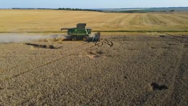 Збирання Пшеничного Польового Комбайна Літаючий Дрон Вантажівка Завантажує Зерновий Хліб — стокове відео