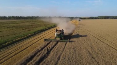 Buğday tarlası hasatçısı uçan dron kamyonu hasat ediyor tahıl ekmeği yüklüyor