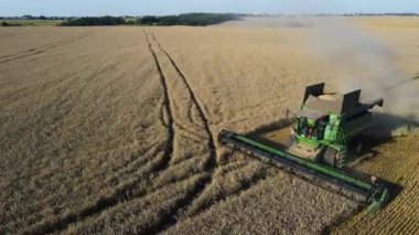 Buğday tarlası hasatçısı uçan dron kamyonu hasat ediyor tahıl ekmeği yüklüyor