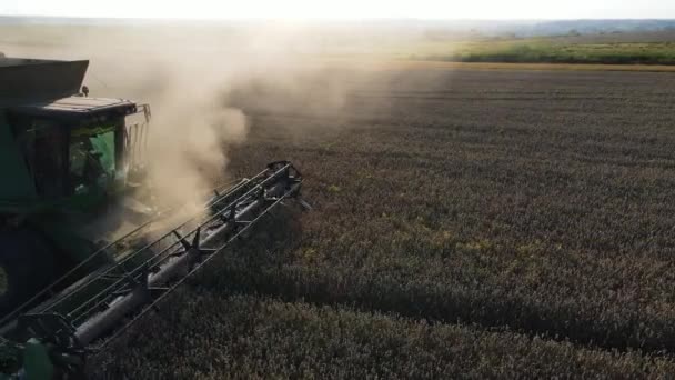 곡물을 날으는 트럭을 수확하는 수확기 — 비디오