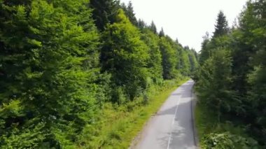 Harz Ormanı yoğun bir şekilde tepe manzarası ekti. Uçan dron yapraklı, yeşil, güzel bir manzara.