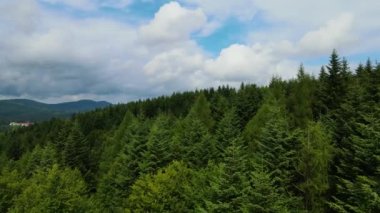 Harz Ormanı yoğun bir şekilde tepe manzarası ekti. Uçan dron yapraklı, yeşil, güzel bir manzara.