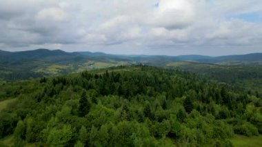 Harz Ormanı yoğun bir şekilde tepe manzarası ekti. Uçan dron yapraklı, yeşil, güzel bir manzara.