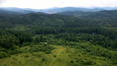 Harz Ormanı yoğun bir şekilde tepe manzarası ekti. Uçan dron yapraklı, yeşil, güzel bir manzara.