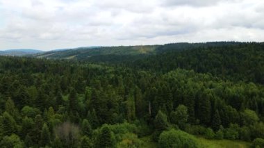 Harz Ormanı yoğun bir şekilde tepe manzarası ekti. Uçan dron yapraklı, yeşil, güzel bir manzara.