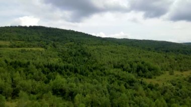 Harz Ormanı yoğun bir şekilde tepe manzarası ekti. Uçan dron yapraklı, yeşil, güzel bir manzara.