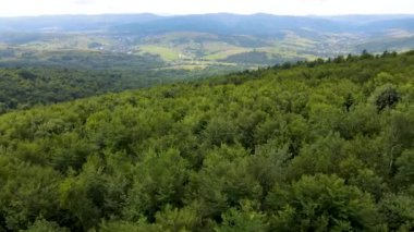Harz Ormanı yoğun bir şekilde tepe manzarası ekti. Uçan dron yapraklı, yeşil, güzel bir manzara.
