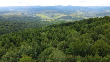 Harz Ormanı yoğun bir şekilde tepe manzarası ekti. Uçan dron yapraklı, yeşil, güzel bir manzara.