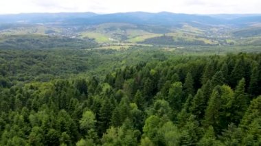 Harz Ormanı yoğun bir şekilde tepe manzarası ekti. Uçan dron yapraklı, yeşil, güzel bir manzara.