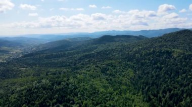 Bavyera orman dağları havadan görünüşlü havadan uçuşlar yoğun yaprak döken kozalaklılar.