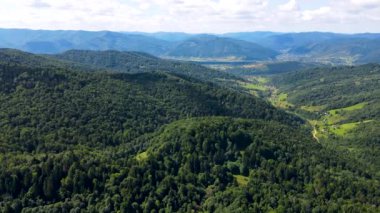 Bavyera orman dağları havadan görünüşlü havadan uçuşlar yoğun yaprak döken kozalaklılar.