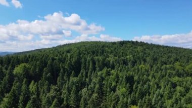 Bavyera orman dağları havadan görünüşlü havadan uçuşlar yoğun yaprak döken kozalaklılar.