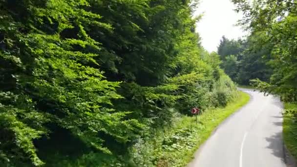 Harzer Wald Dicht Bepflanzt Draufsicht Fliegende Drohne Nadelholz Laubgrün Schöne — Stockvideo