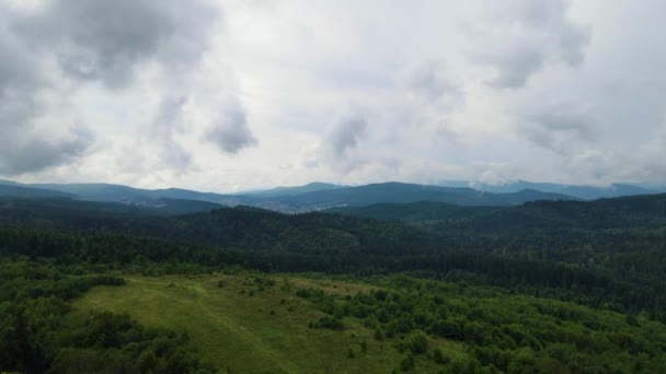 Harz Forêt Densément Planté Vue Dessus Vol Drone Conifères Feuillus — Video