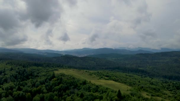 Гарц Лес Плотно Посажены Вид Сверху Летающие Беспилотники Хвойных Лиственных — стоковое видео