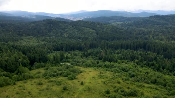 ハルツの森が密接トップビュー飛行ドローン針葉樹落葉緑の美しい景色を植え — ストック動画