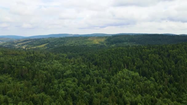 Harz Las Gęsto Posadzone Góry Widok Latający Dron Iglasty Liściaste — Wideo stockowe