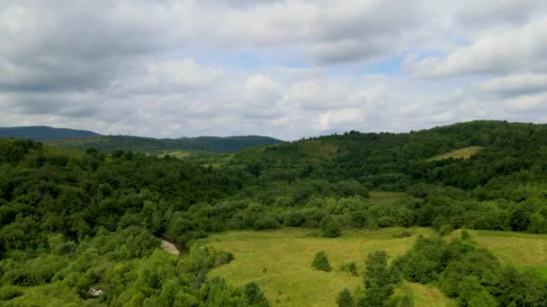 ハルツの森が密接トップビュー飛行ドローン針葉樹落葉緑の美しい景色を植え — ストック動画