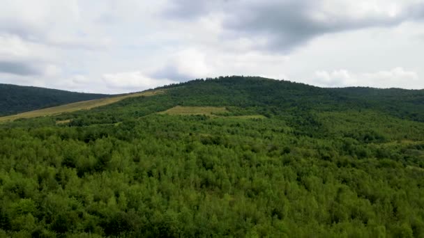 Harz Floresta Densamente Plantada Vista Superior Voando Drone Coníferas Decíduas — Vídeo de Stock