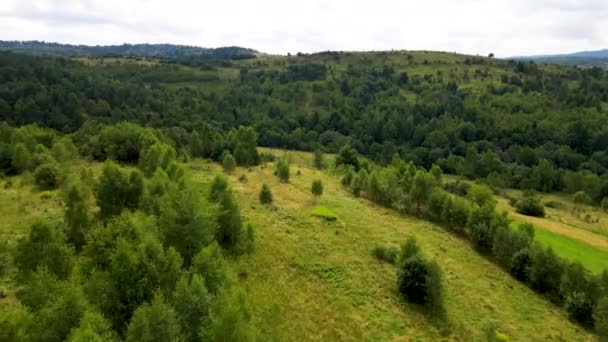 Harzer Wald Dicht Bepflanzt Draufsicht Fliegende Drohne Nadelholz Laubgrün Schöne — Stockvideo