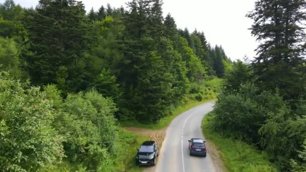 Harz Erdő Sűrűn Ültetett Felső Nézet Repülő Drón Tűlevelű Lombhullató — Stock videók