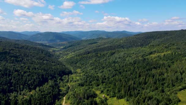 Баварские Леса Высоты Птичьего Полета Плотные Лиственные Хвойные Породы — стоковое видео