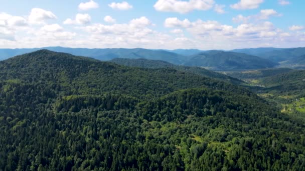 Foresta Bavarese Montagne Vista Aerea Volo Aereo Denso Conifere Decidue — Video Stock