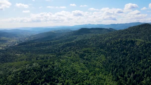 Баварские Леса Высоты Птичьего Полета Плотные Лиственные Хвойные Породы — стоковое видео