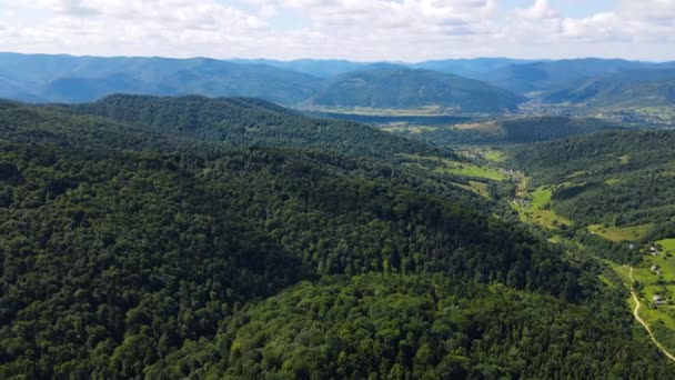 Montanhas Florestais Baviera Voo Aéreo Denso Coníferas Caducifólias — Vídeo de Stock