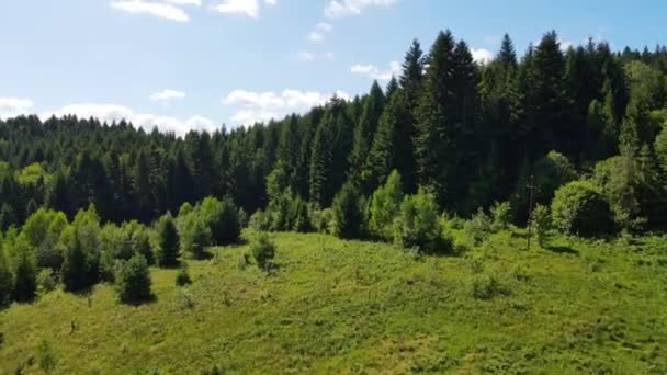 Bayerischer Wald Berge Luftaufnahme Luftbild Luftbild Dicht Laubholz Nadelholz — Stockvideo