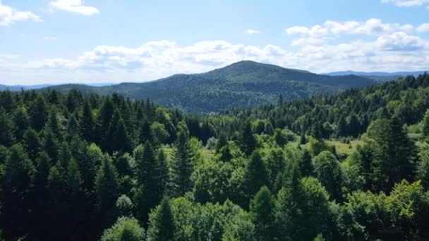 Bayerischer Wald Berge Luftaufnahme Luftbild Luftbild Dicht Laubholz Nadelholz — Stockvideo