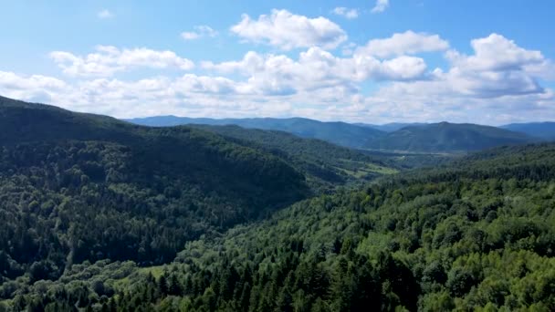 バイエルンの森の山々航空ビュー高密度の落葉針葉樹航空機 — ストック動画