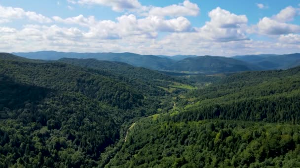 Forêt Bavaroise Montagne Vue Aérienne Vol Aérien Dense Feuillus Conifères — Video