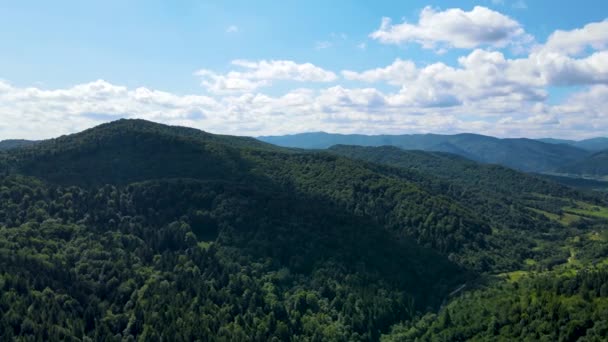 バイエルンの森の山々航空ビュー高密度の落葉針葉樹航空機 — ストック動画