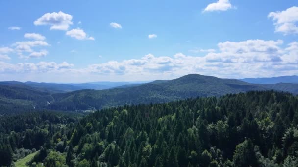 巴伐利亚森林山脉鸟瞰空中飞行茂密落叶针叶林 — 图库视频影像