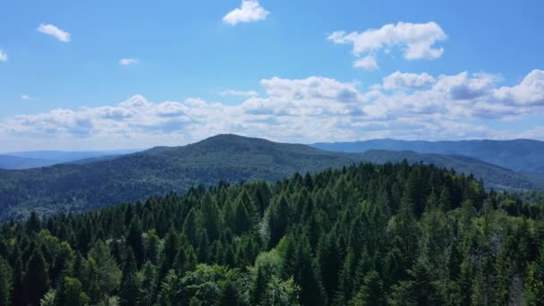 Forêt Bavaroise Montagne Vue Aérienne Vol Aérien Dense Feuillus Conifères — Video