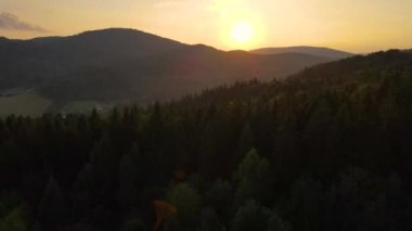 Gün batımında Dağ 'daki çam ağaçlarının üzerinden geçen Hava Aracı Görüntüleme Uçuşu