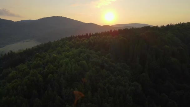 Letecký Drone View Let Nad Borovým Lesem Horách Při Západu — Stock video