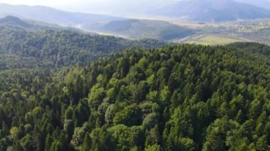 Slovenya 'nın güneyindeki uçsuz bucaksız dağ ve ormanların sarhoş edici hava manzarası. Drone ormanda uçuyor.