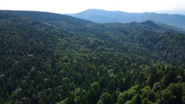 Slovenya 'nın güneyindeki uçsuz bucaksız dağ ve ormanların sarhoş edici hava manzarası. Drone ormanda uçuyor.