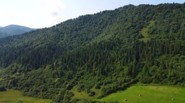 Slovenya 'nın güneyindeki uçsuz bucaksız dağ ve ormanların sarhoş edici hava manzarası. Drone ormanda uçuyor.