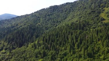 Slovenya 'nın güneyindeki uçsuz bucaksız dağ ve ormanların sarhoş edici hava manzarası. Drone ormanda uçuyor.