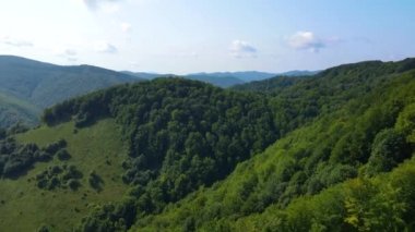 Slovenya 'nın güneyindeki uçsuz bucaksız dağ ve ormanların sarhoş edici hava manzarası. Drone ormanda uçuyor.