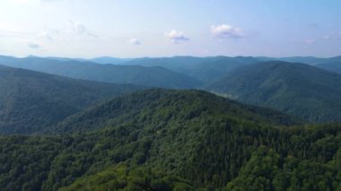Slovenya 'nın güneyindeki uçsuz bucaksız dağ ve ormanların sarhoş edici hava manzarası. Drone ormanda uçuyor.
