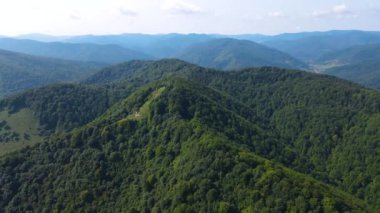 Slovenya 'nın güneyindeki uçsuz bucaksız dağ ve ormanların sarhoş edici hava manzarası. Drone ormanda uçuyor.